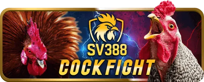 Ưu đãi và khuyến mãi hấp dẫn tại 456win nhà cái