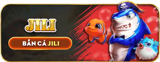 Dịch vụ chăm sóc khách hàng 24/7 của 456win nhà cái